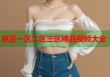 麻豆一區(qū)二區(qū)三區(qū)精品視頻大全