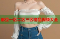 麻豆一區(qū)二區(qū)三區(qū)精品視頻大全