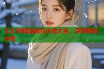 久久99精品麻豆小說(shuō)大全，盡享精選小說(shuō)
