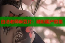 白潔老師麻豆片：精彩國產(chǎn)劇集