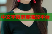 中文字幕麻豆播放平臺