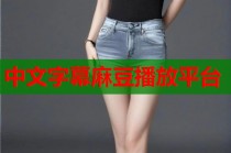 中文字幕麻豆播放平臺(tái)