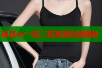 麻豆av一區(qū)二區(qū)高清在線播放