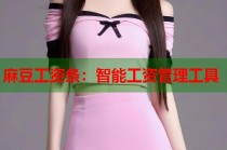 麻豆工資條：智能工資管理工具