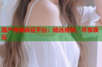 國產(chǎn)傳媒麻豆平臺：精選視頻，盡享娛樂