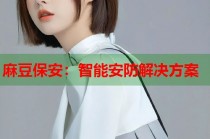 麻豆保安：智能安防解決方案