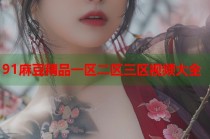 91麻豆精品一區(qū)二區(qū)三區(qū)視頻大全