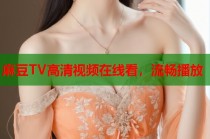 麻豆TV高清視頻在線看，流暢播放