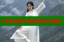 午夜麻豆國(guó)產(chǎn)精品視頻在線播放