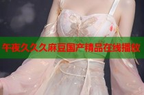 午夜久久久麻豆國(guó)產(chǎn)精品在線播放