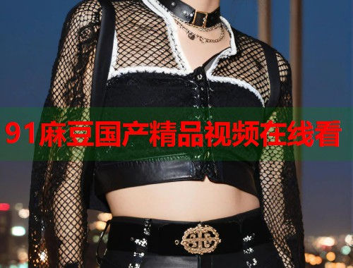 91麻豆國產(chǎn)精品視頻在線看  第1張