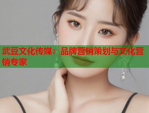 武豆文化傳媒：品牌營銷策劃與文化營銷專家  第1張