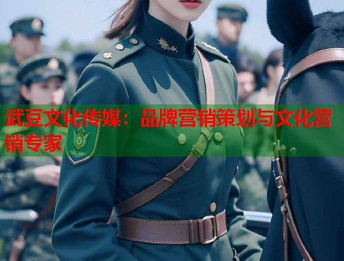 武豆文化傳媒：品牌營銷策劃與文化營銷專家  第2張