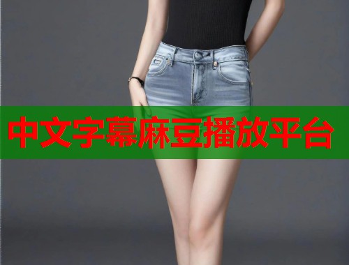 中文字幕麻豆播放平臺(tái)  第1張