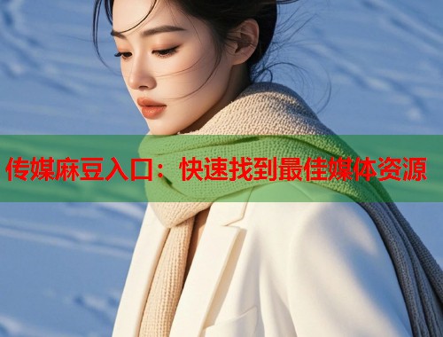 傳媒麻豆入口：快速找到最佳媒體資源  第1張