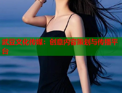 武豆文化傳媒：創(chuàng)意內(nèi)容策劃與傳播平臺  第1張