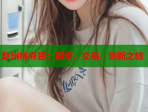 趙州橋麻豆：探索、交易、創(chuàng)新之旅  第1張
