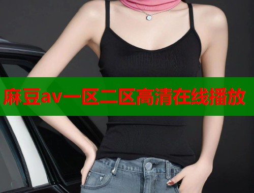 麻豆av一區(qū)二區(qū)高清在線播放  第1張