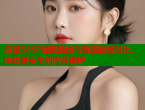 麻豆S8SP加密路線與普通路線對比，體驗更安全的內(nèi)容保護  第1張