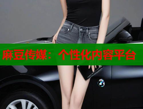 麻豆傳媒：個性化內(nèi)容平臺  第1張