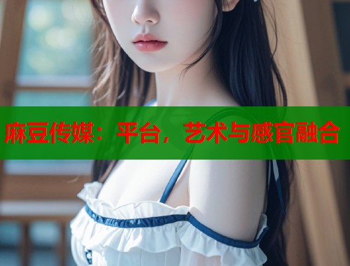 麻豆傳媒：平臺，藝術(shù)與感官融合  第1張
