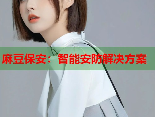 麻豆保安：智能安防解決方案  第1張