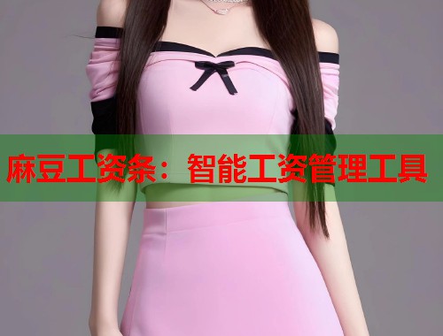 麻豆工資條：智能工資管理工具  第1張