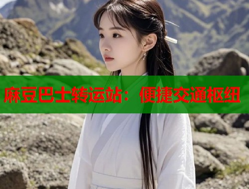 麻豆巴士轉(zhuǎn)運(yùn)站：便捷交通樞紐  第1張