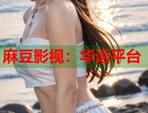 麻豆影視：華語平臺  第1張