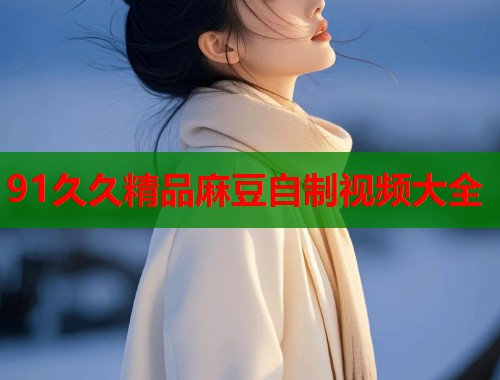 91久久精品麻豆自制視頻大全  第1張
