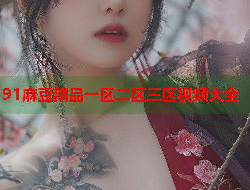91麻豆精品一區(qū)二區(qū)三區(qū)視頻大全  第1張