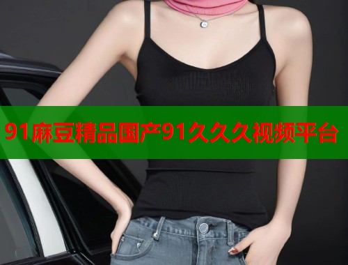 91麻豆精品國產(chǎn)91久久久視頻平臺  第1張