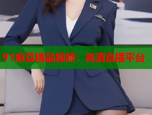 91麻豆精品視頻：高清直播平臺  第1張