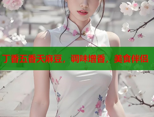 丁香五香天麻豆，調(diào)味增香，美食伴侶  第1張